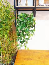 Arranjo com vaso planta folhagem verde pendentes trepadeiras folhas artificiais realistas decoração de prateleiras