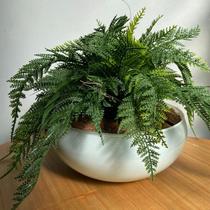 Arranjo Completo Centro Mesa Grande Samambaia Vaso Branco Arranjo Completo Centro Mesa Grande Samambaia Vaso Branco