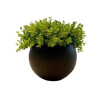 Arranjo Completo Com Verdinhos Eucalipto Vaso Preto Sala Arranjo Completo Com Verdinhos Eucalipto Vaso Preto Sala