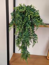 Arranjo completo e vaso folhagem pendente samambaias verde Arranjo completo e vaso folhagem pendente samambaias verde
