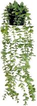 Arranjo completo folhagem de eucalipto pendente verde com vaso Arranjo completo folhagem de eucalipto pendente verde com vaso