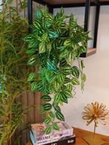 Arranjo completo no vaso com 2 folhagem lambari branco