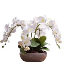 Arranjo de 4 Orquídea Artificial Branca Delicada vaso Bege Arranjo de 4 Orquídea Artificial Branca Delicada vaso Bege