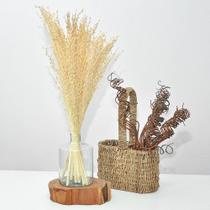 Arranjo de flores desidratadas capim branco + vaso de vidro Arranjo de flores desidratadas capim branco + vaso de vidro