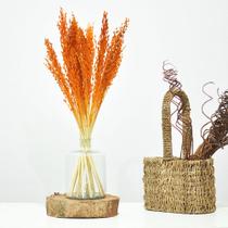 Arranjo de flores desidratadas capim laranja + vaso de vidro