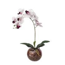 Arranjo de flores Orquídea Artificial vaso terrário Caio - La Caza Store