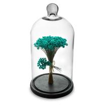 Arranjo de Flores Secas na Cúpula V2 Redoma 30cm