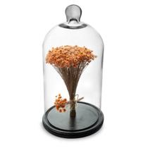 Arranjo de Flores Secas Sempre Viva na Cupula Laranja Ht