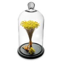 Arranjo de Flores Secas Sempre Viva na Cupula