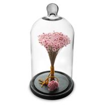 Arranjo de Flores Secas Sempre Viva na Cupula Rosa Bs Arranjo de Flores Secas Sempre Viva na Cupula Rosa Bs