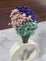 Arranjo de Flores SempreVivas Naturais em Vaso Decorativo, 15 cm, Branco com Padrão Art Déco