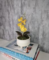 Arranjo De Mini Orquídea Amarela Vaso Bege Claro Redondo