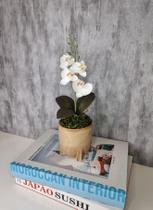 Arranjo De Mini Orquídea Branca Vaso Bege Redondo - FLORESCER DECOR