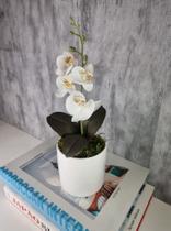 Arranjo De Mini Orquídea Branca Vaso Branco Redondo Arranjo De Mini Orquídea Branca Vaso Branco Redondo