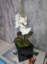 Arranjo De Mini Orquídea Branca Vaso Preto Quadrado Arranjo De Mini Orquídea Branca Vaso Preto Quadrado