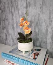 Arranjo De Mini Orquídea Laranja Vaso Bege Claro Redondo