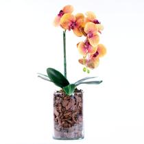 Arranjo de Orquídea 3D Laranja em Tubo de Vidro - Vila das Flores