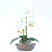 Arranjo De Orquídea Artificial Branca Em Terrário Pequeno