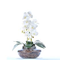 Arranjo de Orquídea Artificial Branca em Terrário Pequeno Vivian - Vila das Flores
