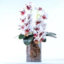 Arranjo de Orquídea Artificial Tigre em Vaso Tubo Gaia - Vila das Flores