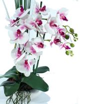 Arranjo de Orquídea Branca, -9597