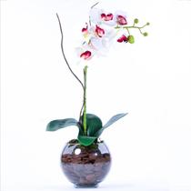 Arranjo de Orquídea Branca Toque Real Classic