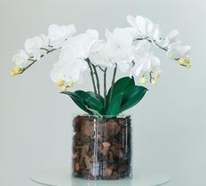 Arranjo de Orquídea Branca Vaso de Vidro Tubo