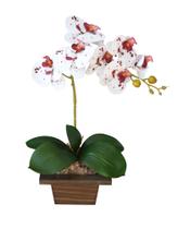 Arranjo de Orquídea de Silicone Com Vaso de Madeira Arranjo de Orquídea de Silicone Com Vaso de Madeira