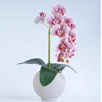 Arranjo de Orquídea Estampada em Vaso Nude Fosco Lara - Vila das Flores