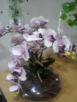 Arranjo de Orquídea - Ma Cherie
