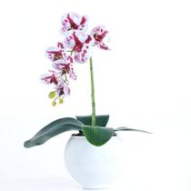 Arranjo de Orquídea Mesclada em Vaso Branco Fosco Lívia - Vila das Flores