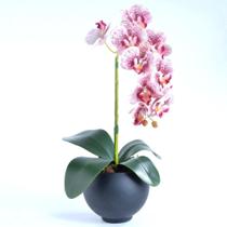 Arranjo de Orquídea Mesclada em Vaso Preto Fosco Drica Arranjo de Orquídea Mesclada em Vaso Preto Fosco Drica