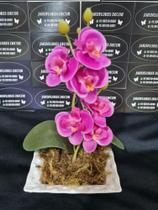 Arranjo de orquídea Rosa