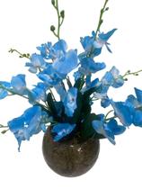 Arranjo de orquídea vaso de vidro preenchimento cascas - Elipresentes e Decorações