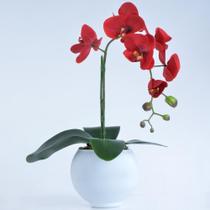Arranjo de Orquídea Vermelha em Vaso Branco Fosco