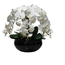 Arranjo de Orquídeas Branca Arranjo Vaso Lagoon Preto Completo Grande Arranjo de Orquídeas Branca Arranjo Vaso Lagoon Preto Completo Grande