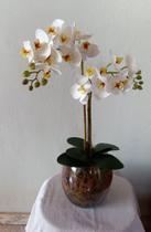 Arranjo de Orquídeas Brancas com duas hastes
