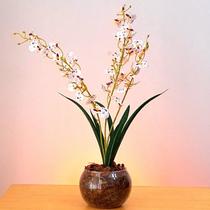 Arranjo de Orquídeas rajadas artificiais com vaso transparente de vidro
