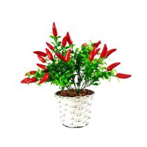 Arranjo De Pimenta Artificial em Vaso Trançado Branco- Decoração Centro de Mesa