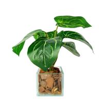 Arranjo de planta artificial em vasinho de vidro Arranjo de planta artificial em vasinho de vidro