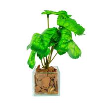 Arranjo de planta artificial em vasinho de vidro Arranjo de planta artificial em vasinho de vidro