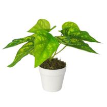 Arranjo de Planta Artificial em Vaso de Plástico Arranjo de Planta Artificial em Vaso de Plástico