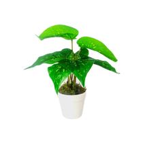 Arranjo de Planta Artificial em Vaso de Plástico Arranjo de Planta Artificial em Vaso de Plástico