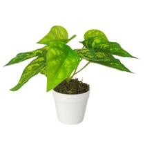 Arranjo de Planta Artificial em Vaso de Plástico Arranjo de Planta Artificial em Vaso de Plástico