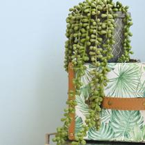 Arranjo de Planta Pendente Artificial no Vaso Cimento Formosinha Arranjo de Planta Pendente Artificial no Vaso Cimento Formosinha