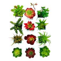 Arranjo de Suculenta Artificial em Vasinho de Vidro Espelhado Arranjo de Suculenta Artificial em Vasinho de Vidro Espelhado