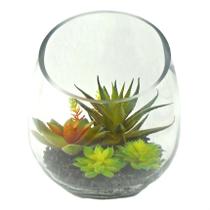 Arranjo de suculentas em vaso de Vidro 17 cm altura - Decora Flores Artificiais