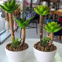 Arranjo de suculnta ( cores sortidas) - GRILLO LTDA Arranjo de suculnta ( cores sortidas) - GRILLO LTDA