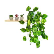 Arranjo de Trepadeira artificial em Vaso de Plástico Branco Arranjo de Trepadeira artificial em Vaso de Plástico Branco