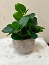 Arranjo Decorativo Artificial 27cm com Folhas Verdes Vibrantes Arranjo Decorativo Artificial 27cm com Folhas Verdes Vibrantes